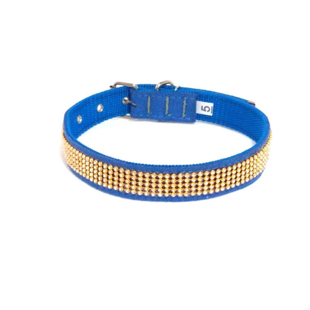 Coleira camurça com strass azul tamanho nº. 05