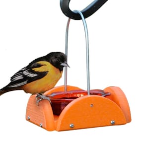 Alimentador Oriole Woodlink Verde Laranja com capacidade de 118 mL