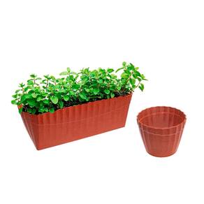 Vaso Floreira Cachepot Plissado Terracota Marrom Coral 2un