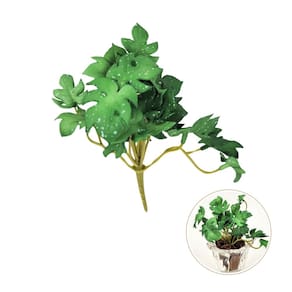 Suculenta Costela De Adão Verde 15Cm Planta Artificial