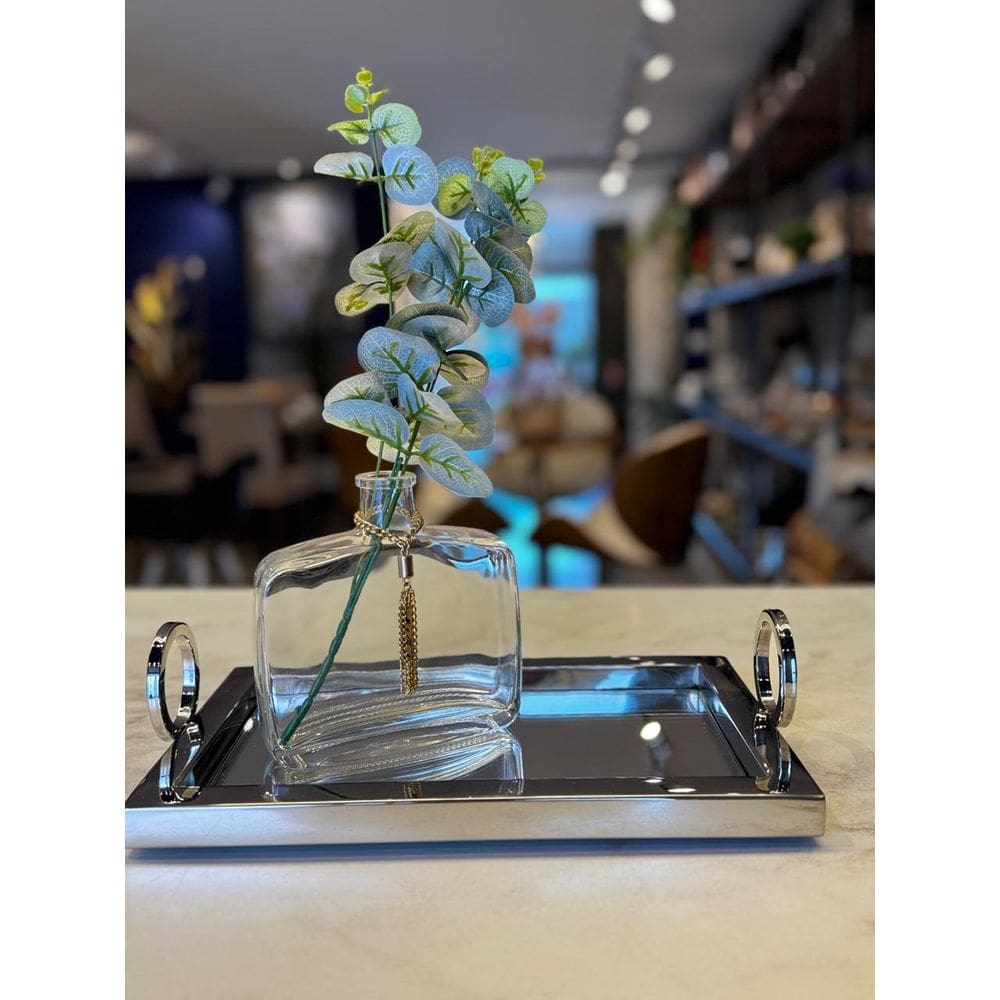 BANDEJA AÇO INOX C/ESPELHO 30x19x8cm