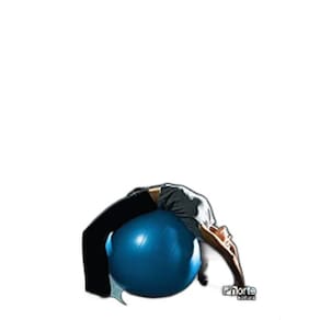 Livro Treinamento Funcional Com Bola