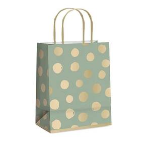 Kit Sacola De Papel Big Ball M 26x19,5x9,5cm Sálvia - 10 Un