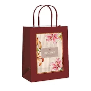 Kit Sacola De Papel Luiza M 26x19,5x9,5cm - 10 Un