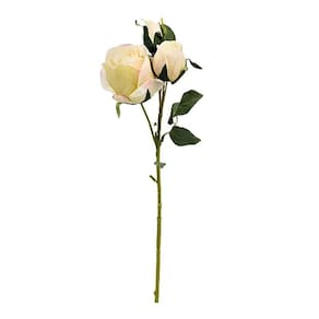 Flores Decorativas Permanentes - Rosa Com Folhas 41cm Rosa Chá-verde - 6 Hastes