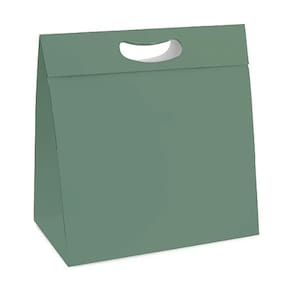 Kit Caixa New Plus P 18x7,5x24cm Natural Green - 10 Un