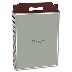 Kit Caixa Maleta Retangular Vertical Land M 18x7,5x21cm - 10 Un