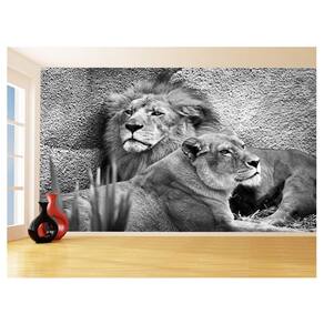 Papel De Parede 3D Animais Leão Família Casal 3,5M Anm505