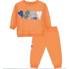 Conjunto Manga LongaTigor T Tigre Estampa Laranja