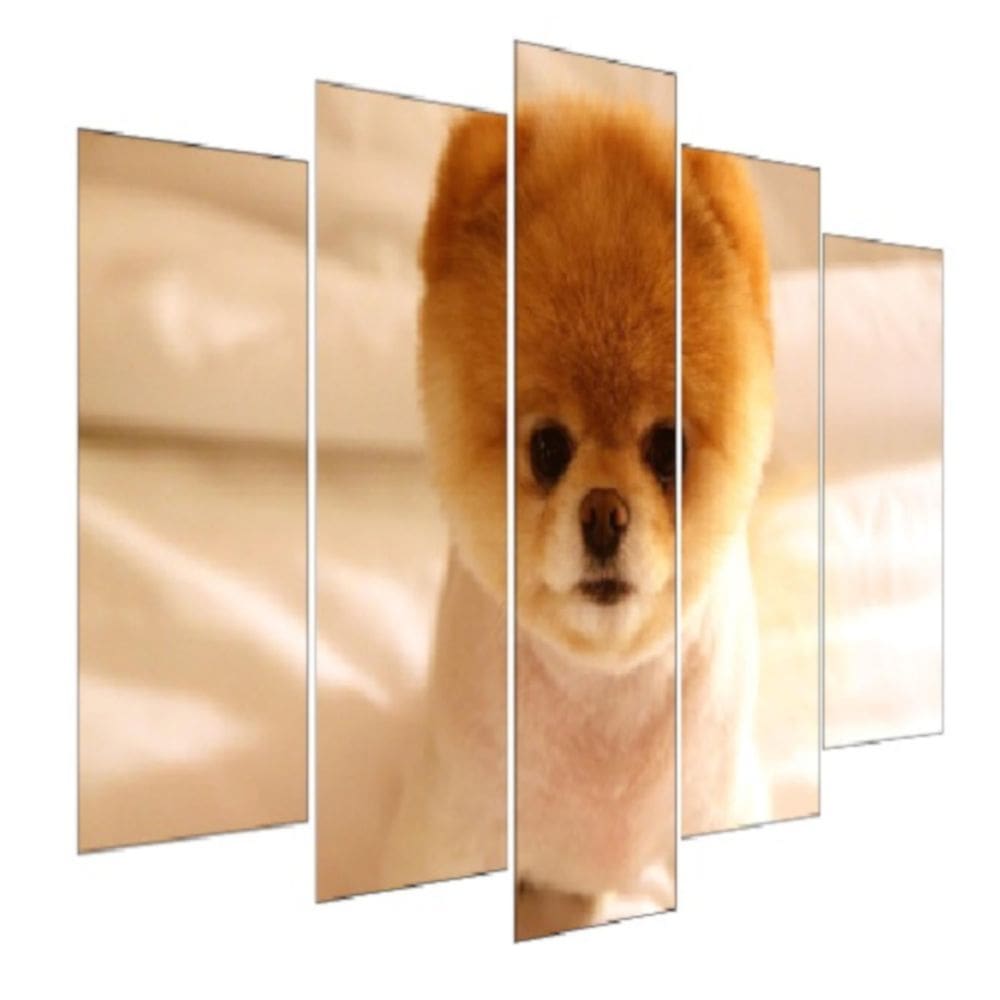 Quadro Decorativo Mosaico 5 Peças Mod1028 Filhote Cachorro