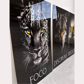 Quadro Decorativo Em Acrilico Motivação Foco 90X50Cm