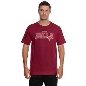 Camiseta Nba Masculina Chicago Bulls Argyle