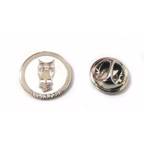 Broche Pedagogia Professora Folheado Níquel