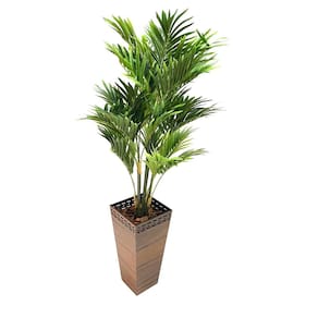 Vaso Decorativo Trapézio Honolulu Peg Bnpfsd 64Cm