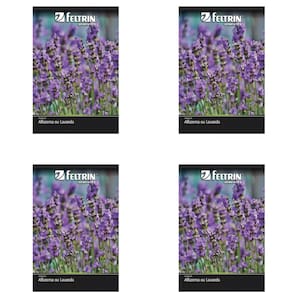 Kit De Sementes Alfazema Ou Lavanda Feltrin 4 Unid