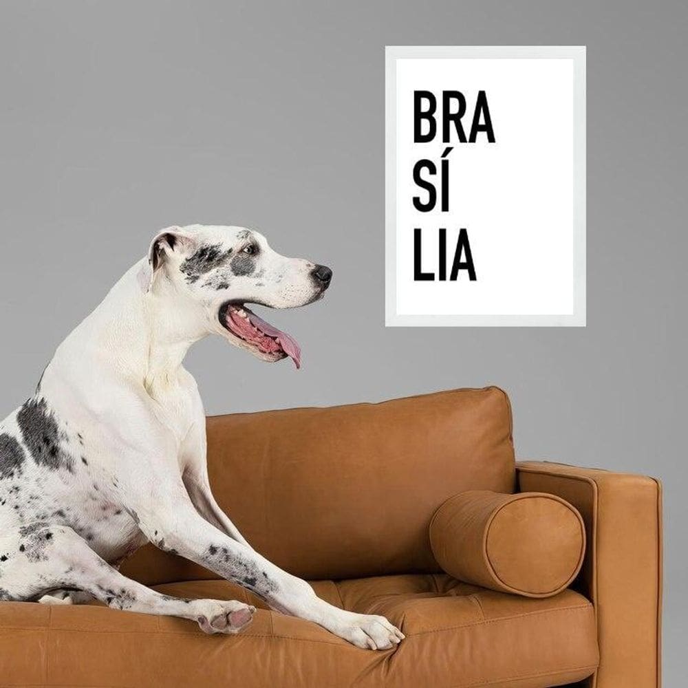 Quadro Decorativo Tipografia Brasília 45X34Cm