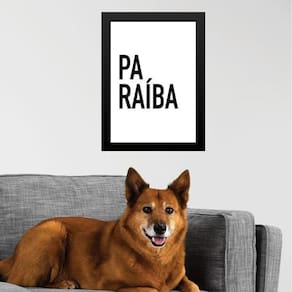 Quadro Decorativo Tipografia Paraíba 33X24Cm - Com Vidro