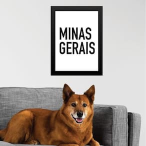 Quadro Decorativo Tipografia Minas Gerais 45X34Cm - Vidro