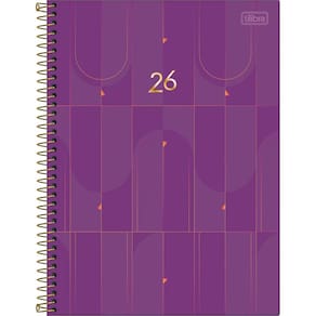 Agenda Espiral 2026 Executiva Diária Spot M9 Grande Tilibra Feminina Masculina 200x275mm
