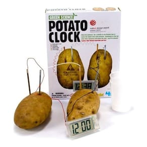 Relógio batata brinquedo ecologico experiência científica 4m