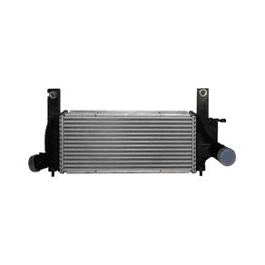 Intercooler - Frontier 2008 A 2012 - Pc600771