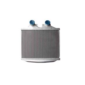 Intercooler - 1215 1999 A 2007 / 1218 1999 A 2007 / 1418 1999 A 2007 / 1718 1999 A 2007 - Pc600377