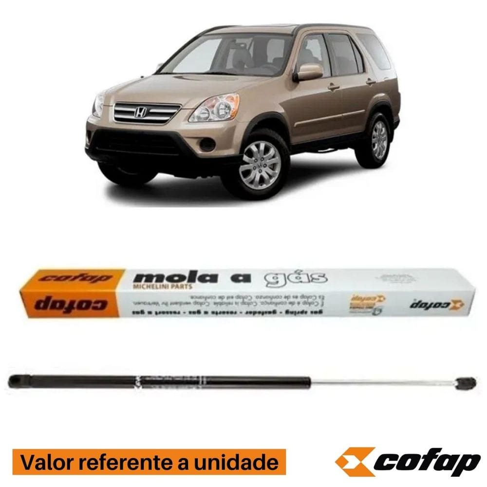 Amortecedor Mola A Gás Tampa Traseira - Cr-V 2002 A 2006 - 16540