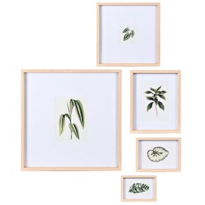 Kit Quadros Decorativos Em Mdf - 5Pcs Tema Botanico