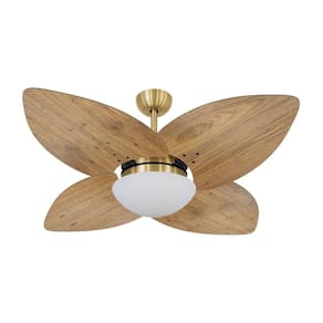 Ventilador De Teto Dormamu Dourado 4 Pás Rádica Freijó 110V