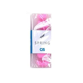Borracha Escolar Spring Cores Pastéis Rosa - Cis