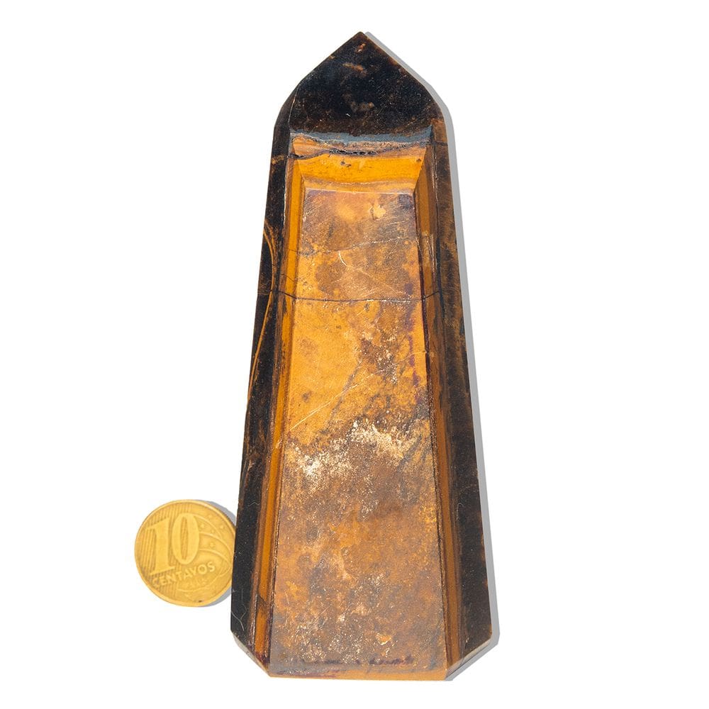 Ponta Olho de Tigre Natural 10 a 12cm 200 a 300g Tipo B