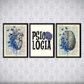 Kit 3 Quadros Psicologia Razão E Emoção 45X34Cm Vidro Preta