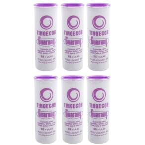 Tinta Tecido Tingecor Guarany 40G 6 Unidades Lilás