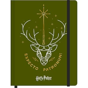 Caderno Anotação Harry Potter Patronum 140x210mm 80 Folhas