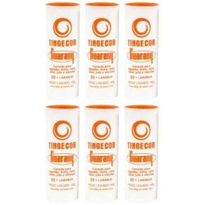 Tinta Tecido Tingecor Guarany 40G 6 Unidades Laranja
