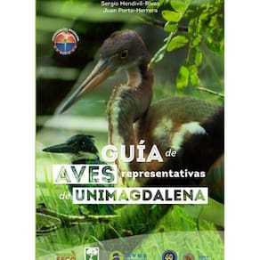 Guía de aves representativas de Unimagdalena - Espanhol