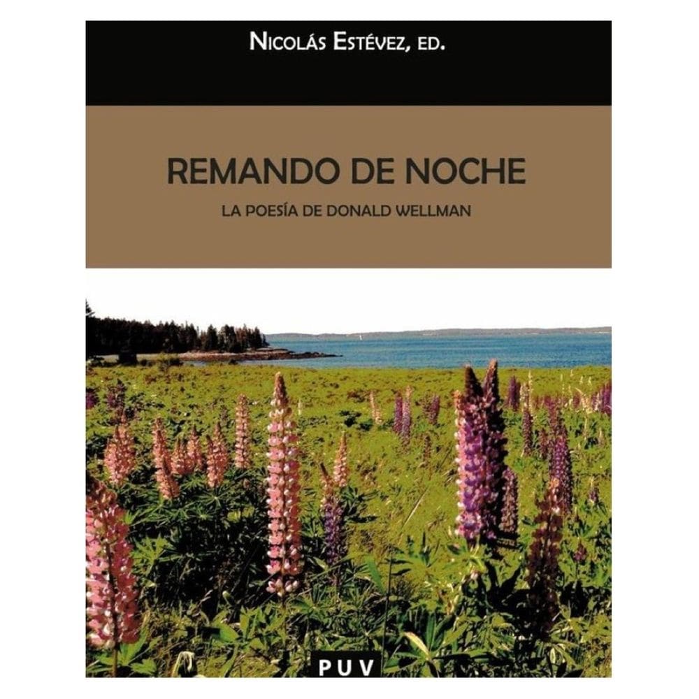 Remando de noche - Espanhol