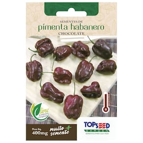 Semente de Pimenta Habanero Chocolate TOPSEED