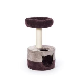 Cama para gatos Prevue Hendryx Kitty Power Paws Kitty King Plush