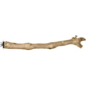 Escada para pássaros PH Prevue Hendryx Coffee Wood, larga, 18 cm