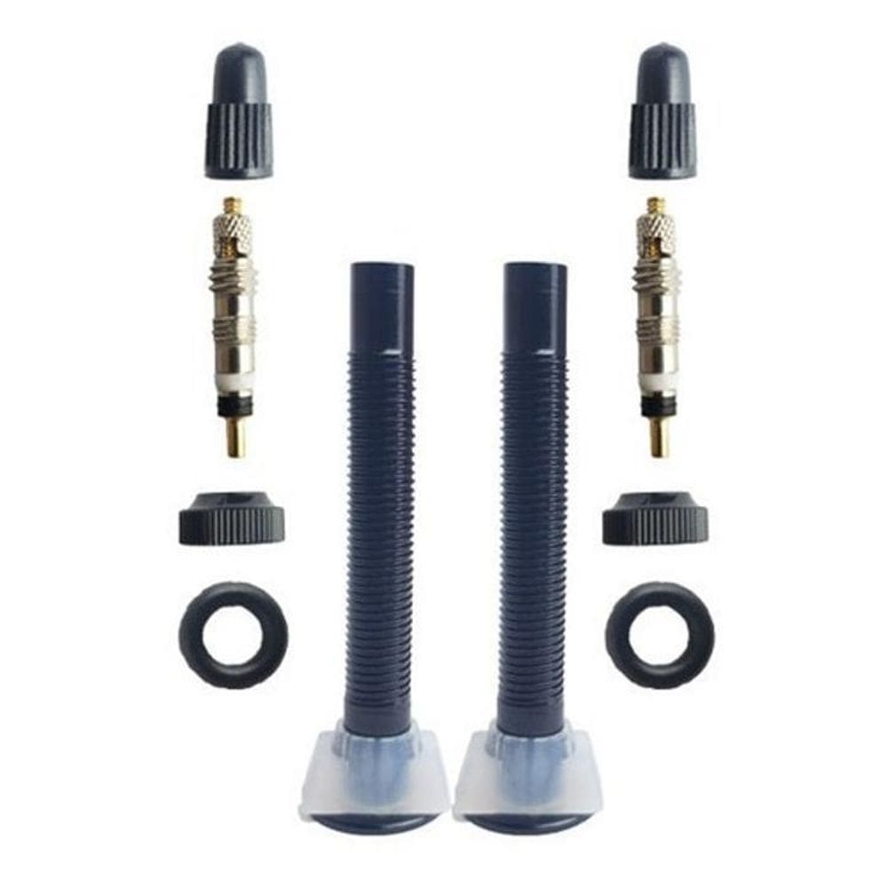 Válvula Tubeless Absolute Preto 48Mm