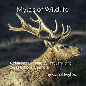 Livro Myles of Wildlife: uma viagem fotográfica pela costa nacional de Point Reyes