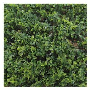 Placa Samambaia Muro Inglês Jardim Vertical Artificial 40x60cm