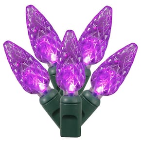 Conjunto de luzes LED Vickerman 50 Light Purple C6 em fio verde
