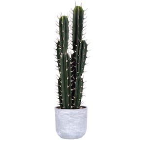 Planta de cacto artificial Vickerman 27,5 cm verde com concreto
