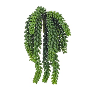 Planta artificial suspensa Vickerman Donkey Tail 33cm verde