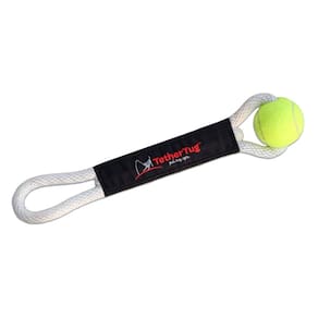 Brinquedo para cães Tether Tug Ball Plus para brincadeiras interativas ao ar livre