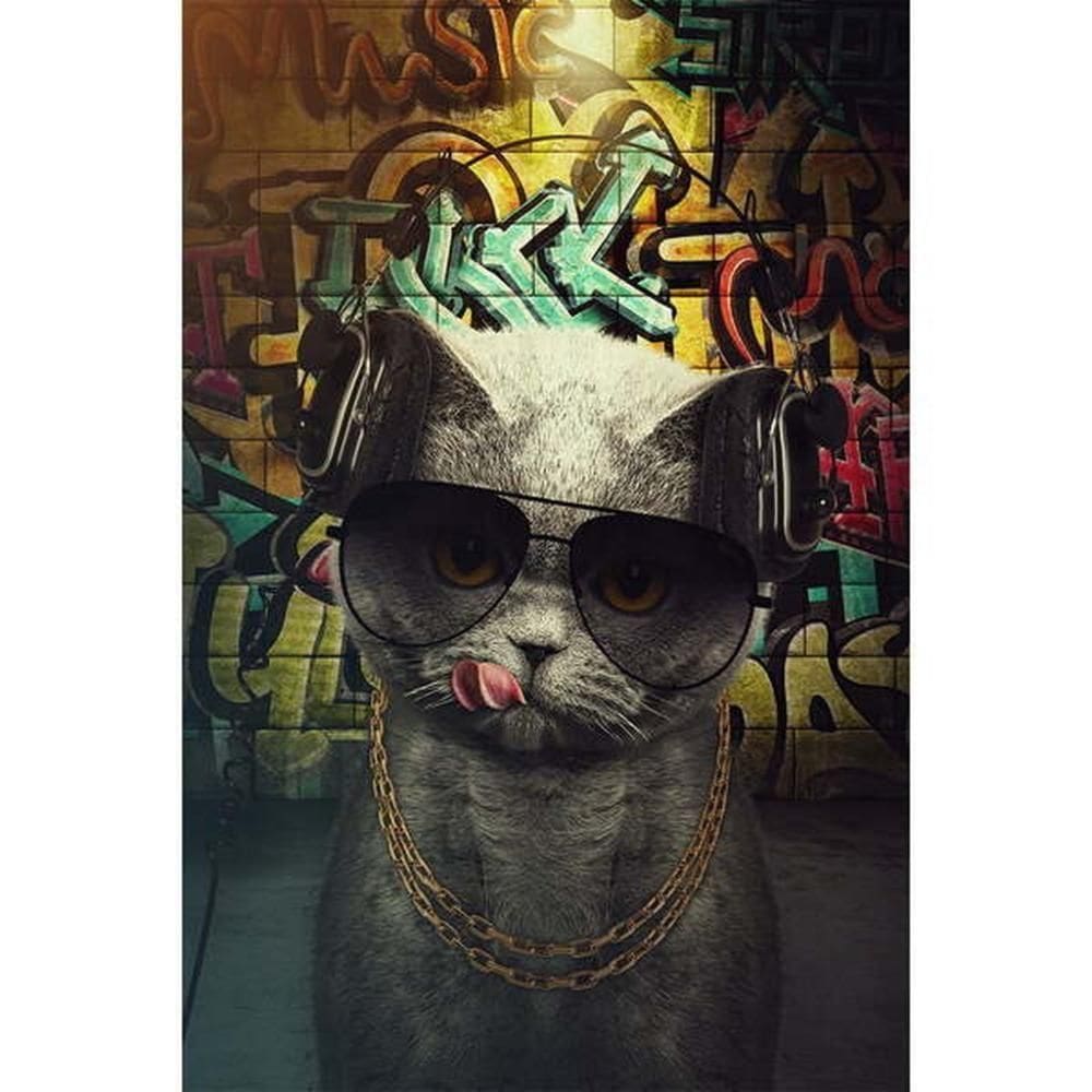 Quadro Decorativo Gato Rapper Street Art 1 Tela