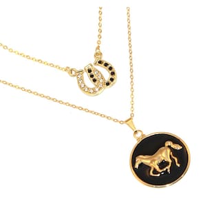 Colar Cordão Duplo Country Ferradura Cavalo Folheado 18k