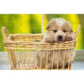 4 Quebra-Cabeças Dogs Animados Educação Inteligente 60 Peças